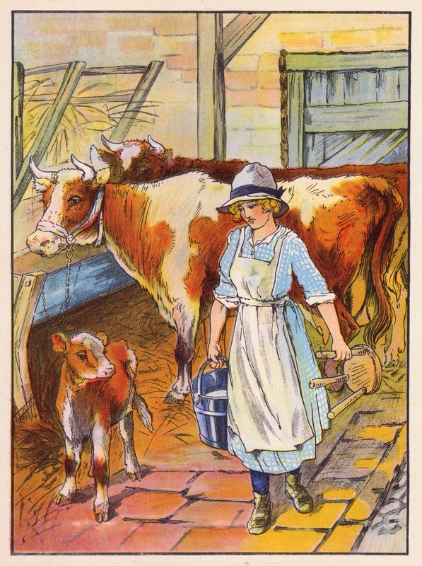 Dívka dojící krávy (barevná litografie) od English School