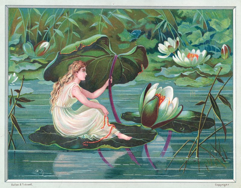 Dívka sedící na Lily Pad v rybníku, vánoční přání od English School
