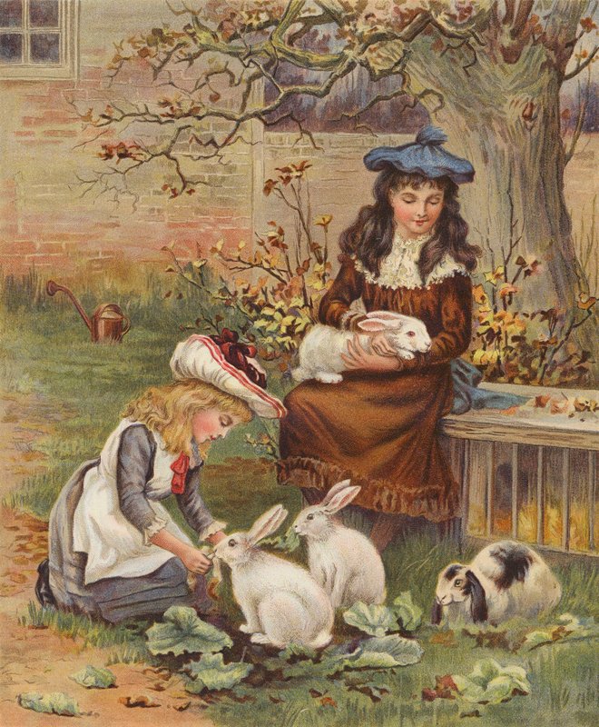 Dívky pečující o své domácí králíky (chromolit) od English School