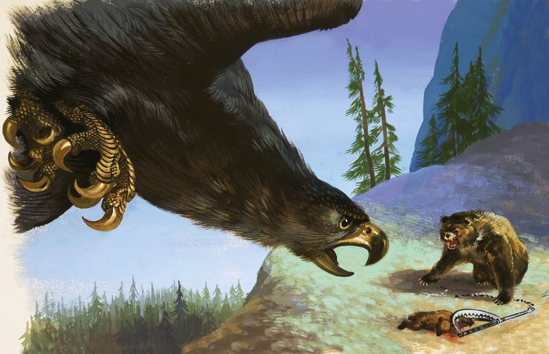 Golden Eagle útočí na medvěda kvůli zvířeti v pasti od English School