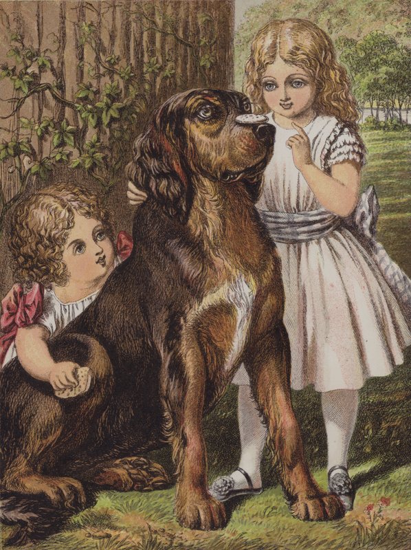 Good Dog Dash (barevný litografický tisk) od English School