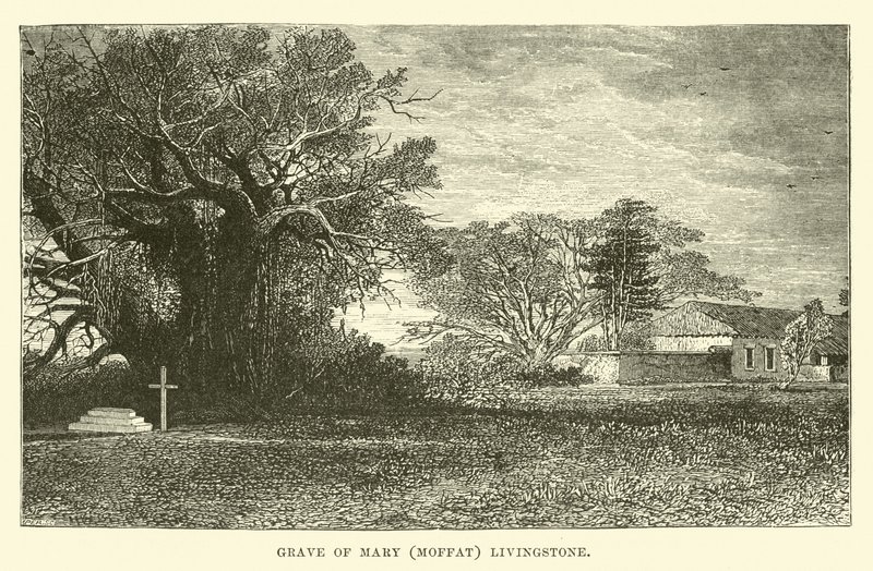 Hrob Marie (Moffat) Livingstone od English School