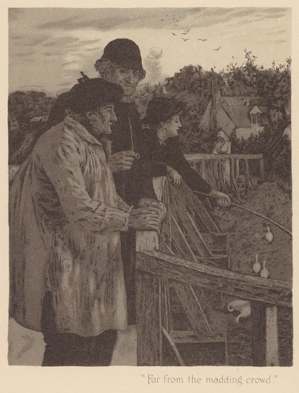 Grayovy elegie: Gray: "Daleko od bláznivého davu" (litografie) od English School