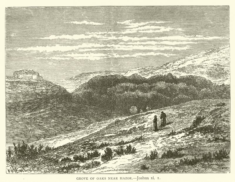 Grove of Oaks poblíž Hazor, Joshua, xi od English School
