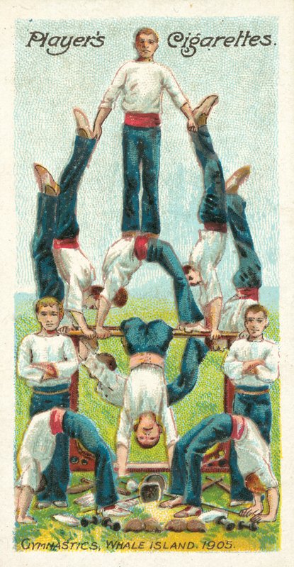 Gymnastika, Velrybí ostrov od English School