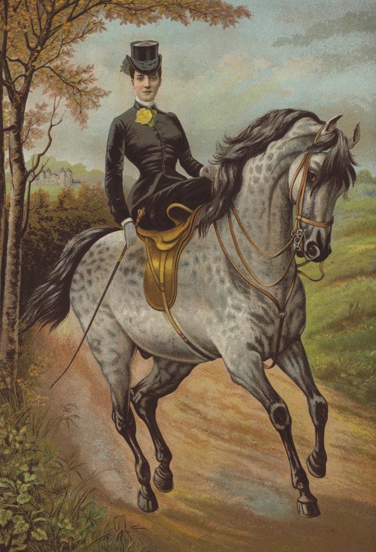 Její královská Výsost princezna z Walesu (chromolit) od English School