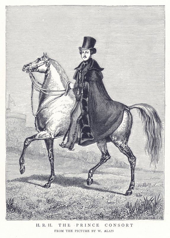 H. R. H. Prince Consort od English School