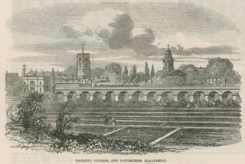 Nádraží Hackney a Watercress Plantation, Londýn od English School