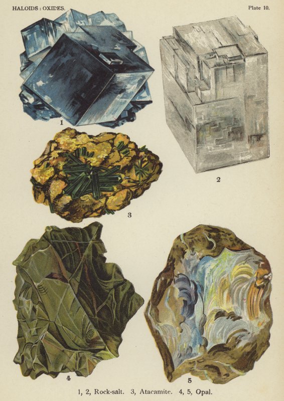 Haloidy, oxidy, kamenná sůl, atakamit, opál (barevná litografie) od English School