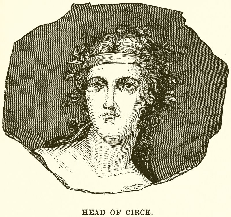 Vedoucí Circe od English School