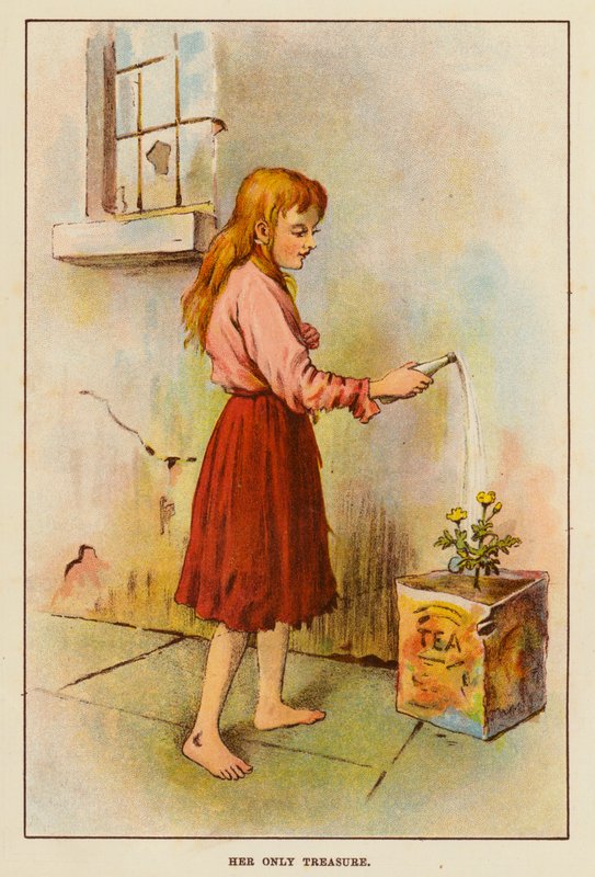 Její jediný poklad (barevné lito) od English School