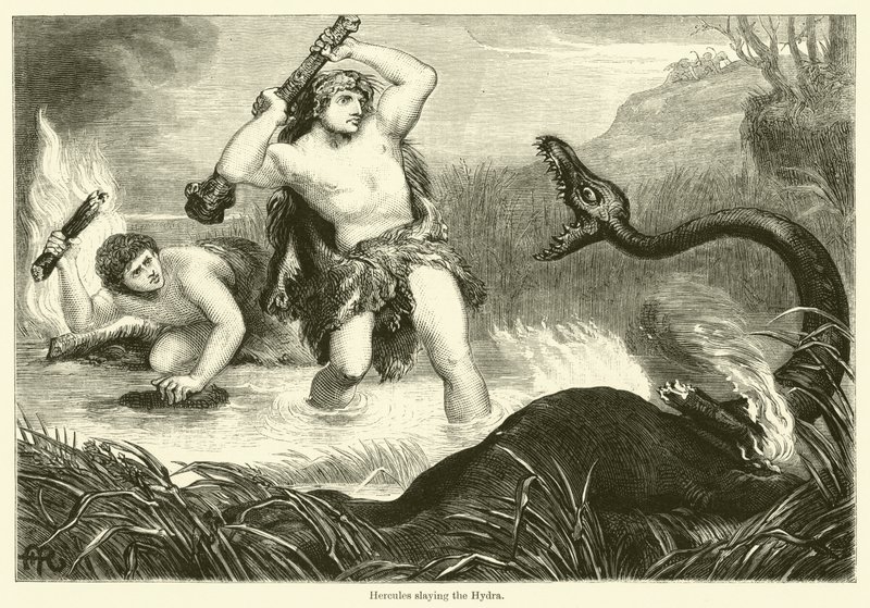 Hercules zabíjející Hydru (rytina) od English School
