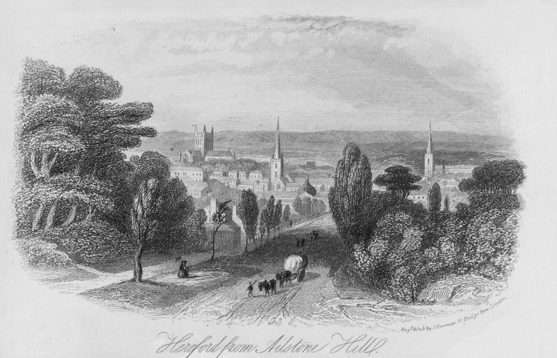 Hereford z Ailstone Hill (rytina) od English School