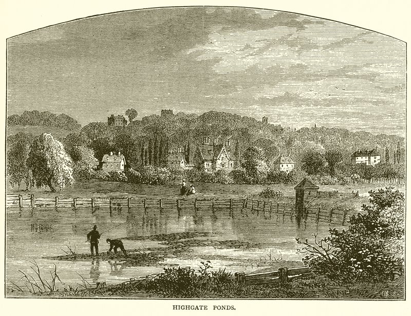 Highgate Ponds od English School