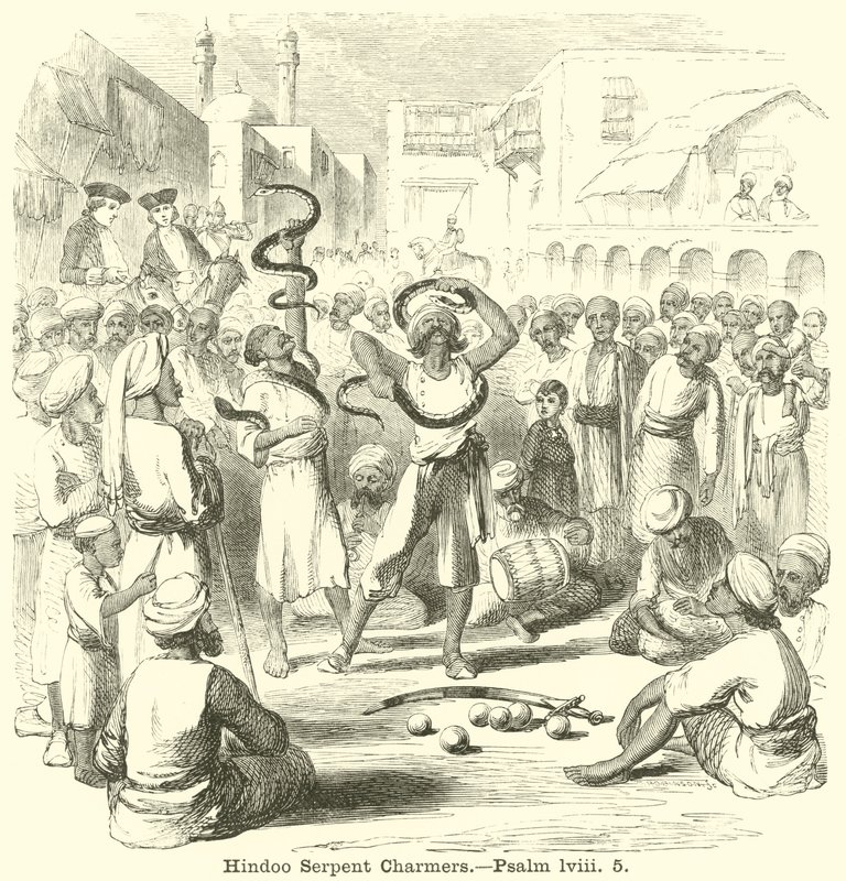 Hindoo Zaříkávače hadů, Žalm, lviii, 5 od English School