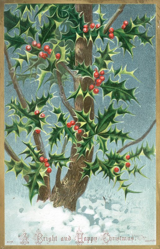 Holly Tree, Vánoční přání od English School