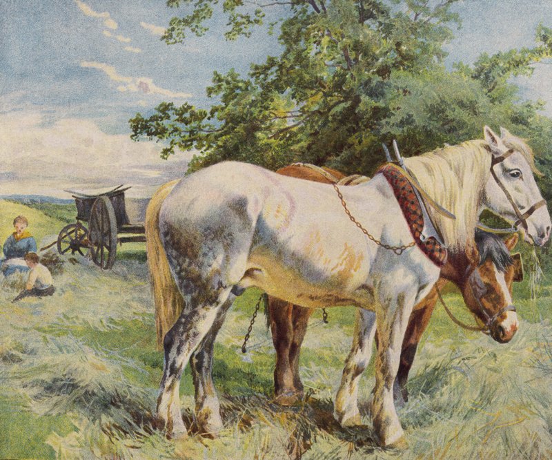 Koně odpočívající od práce na farmě (barva litho) od English School