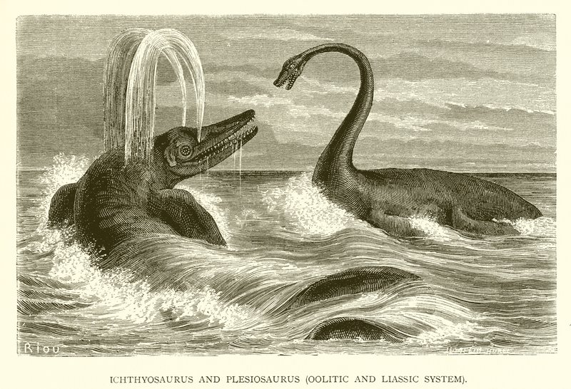 Ichthyosaurus a Plesiosaurus, oolitický a liasový systém od English School