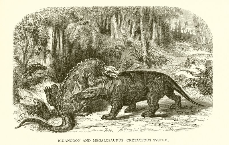 Iguanodon a Megalosaurus, křídový systém od English School