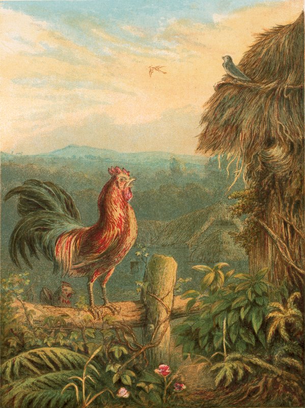 Ilustrace k Gray