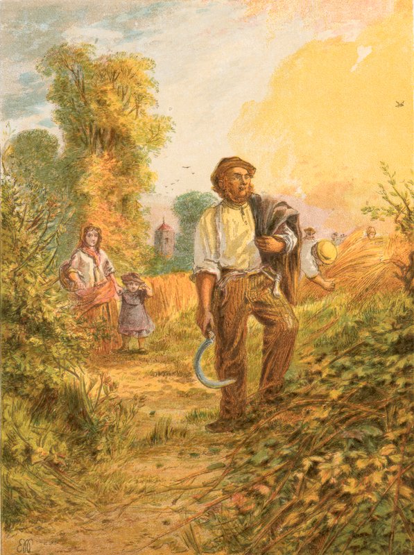 Ilustrace k Gray