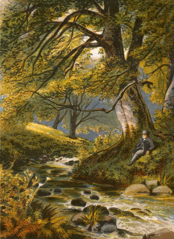 Ilustrace k Gray