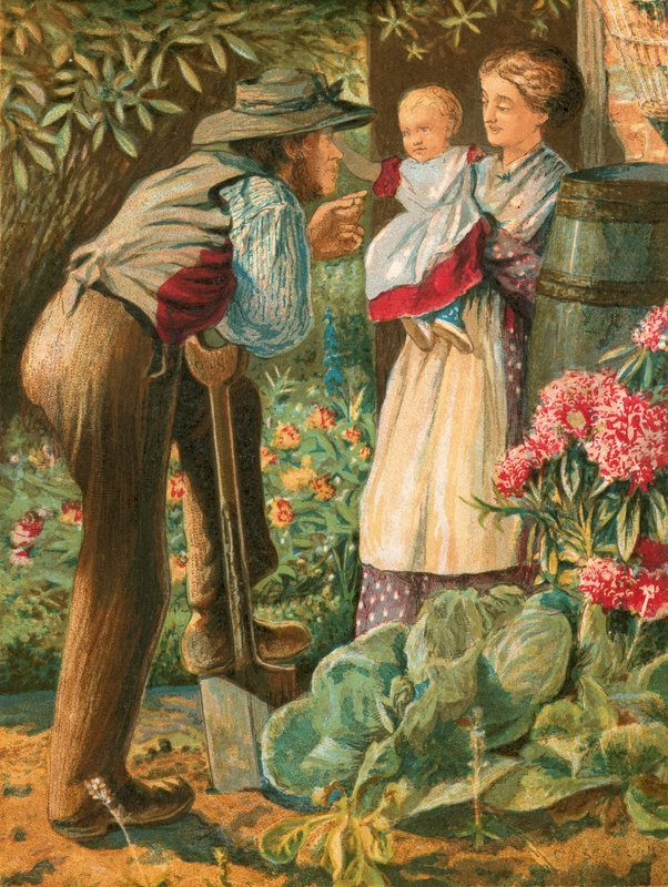 Ilustrace k Gray