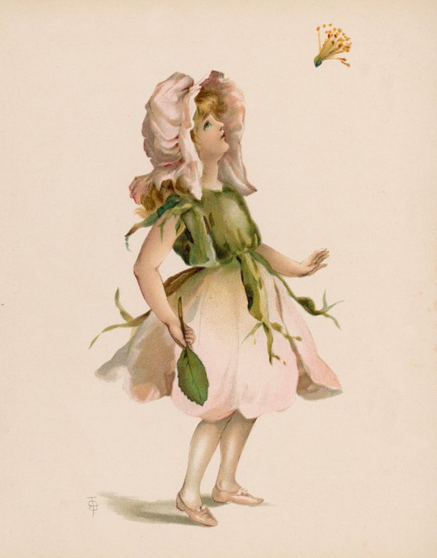 Ilustrace k řeči květin (chromolitho) od English School