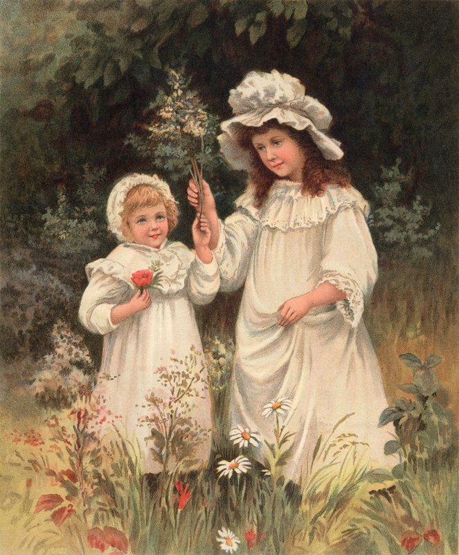V Meadows Sweet od English School