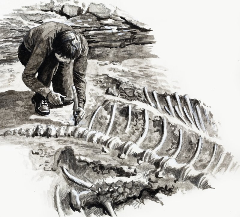 In the Days of the Dinosaurs: Battle of the Giants od English School