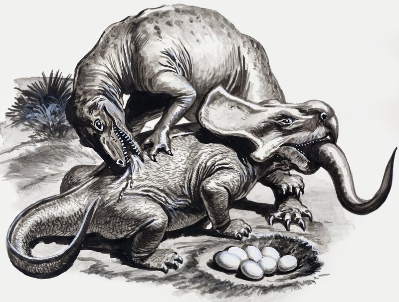 In the Days of the Dinosaurs: Discovery in the Desert od English School