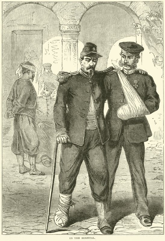 V nemocnici, listopad 1870 od English School