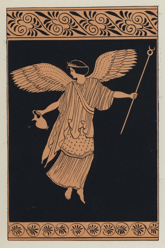Iris (barevná litografie) od English School