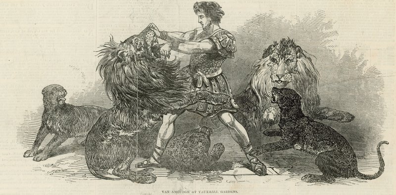Isaac van Amburgh ve Vauxhall Gardens od English School