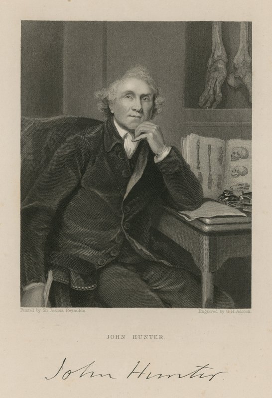 John Hunter od English School
