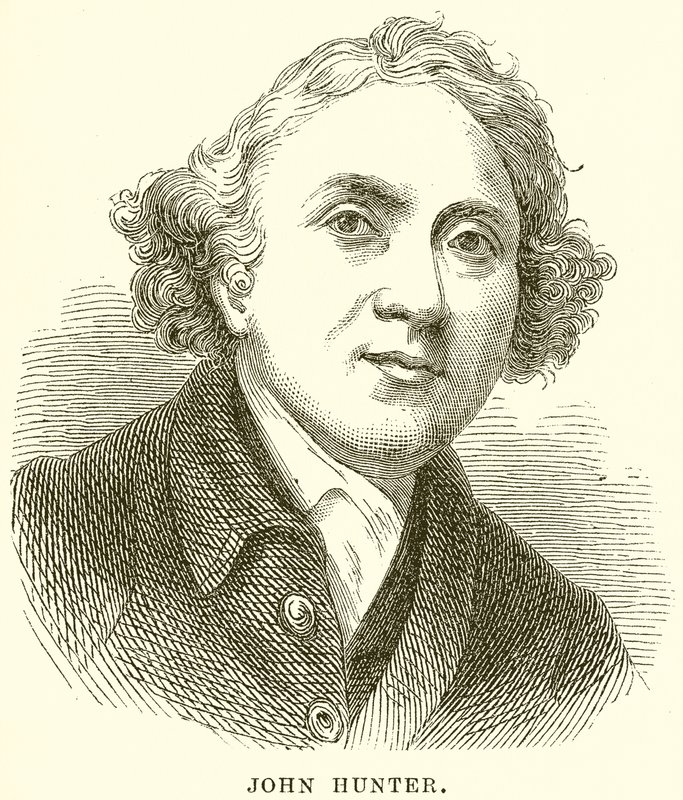 John Hunter od English School