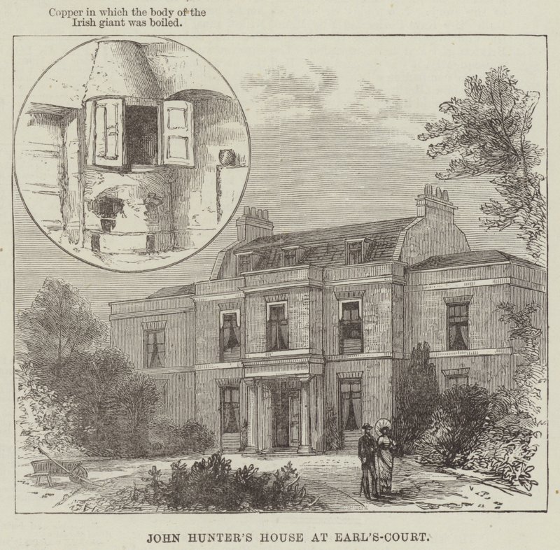 Závěsný od English School