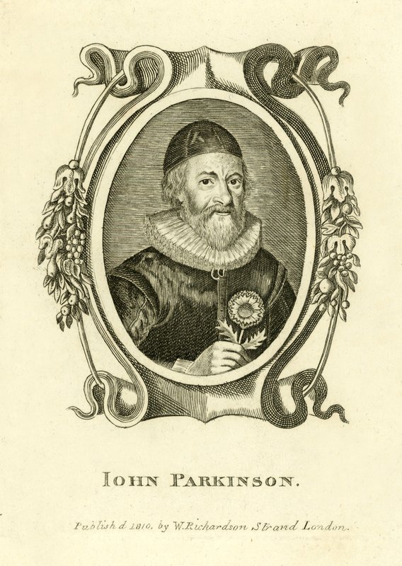 John Parkinson od English School