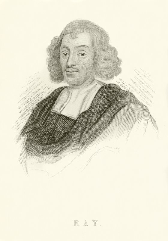 John Ray od English School
