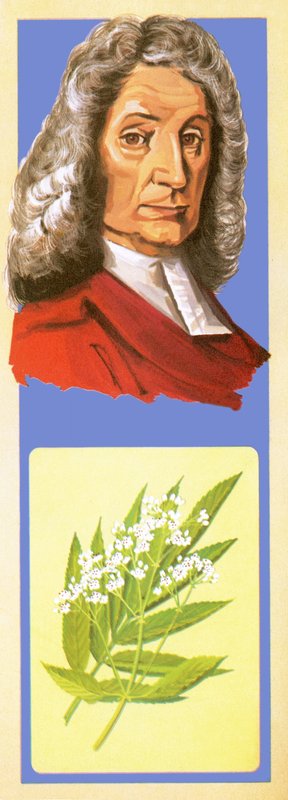 John Ray od English School