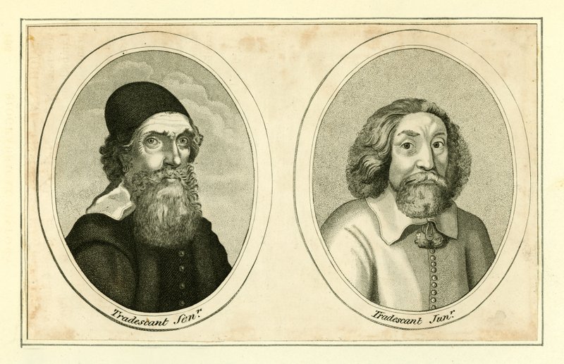 John Tradescant, senior a junior od English School