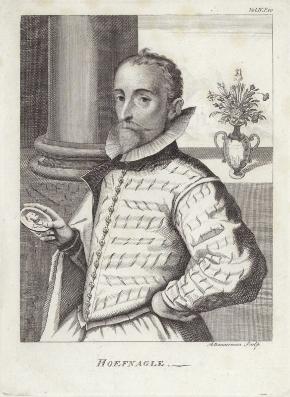 Joris Hoefnagel od English School