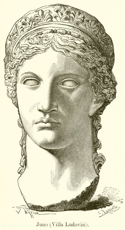 Juno (Villa Ludovisi) od English School