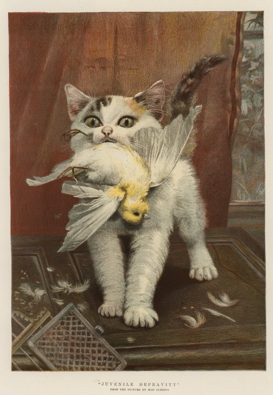 Juvenilní zkaženost (chromolitho) od English School