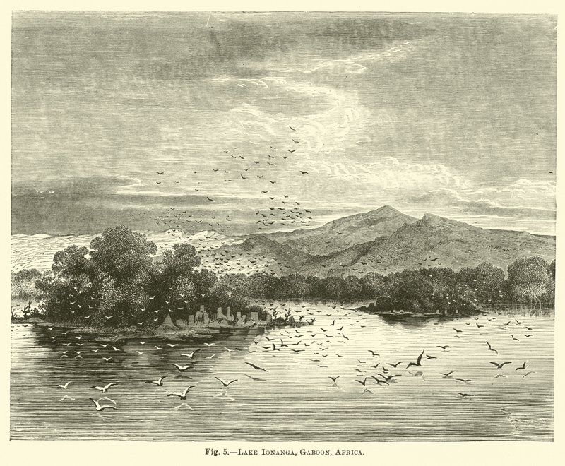 Jezero Ionanga, Gabun, Afrika od English School