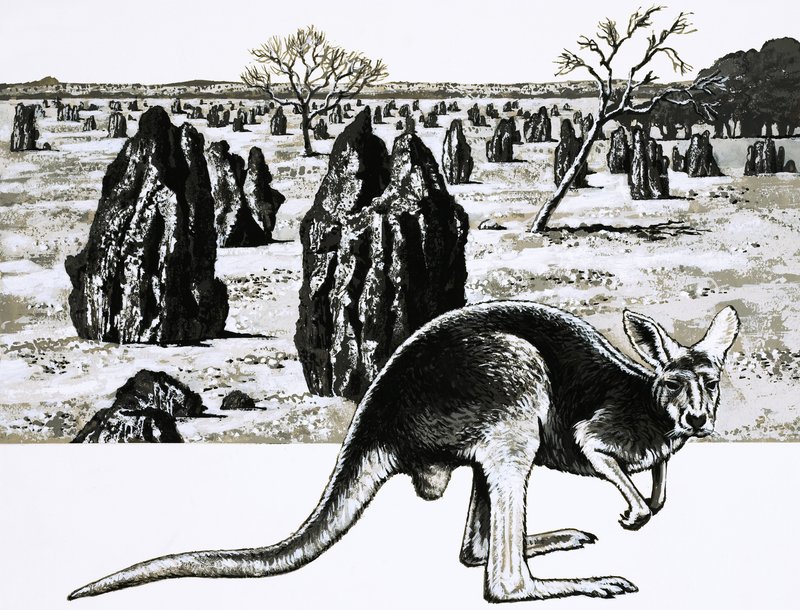 Velká termitiště poblíž Darwinu v Austrálii a klokan v popředí od English School