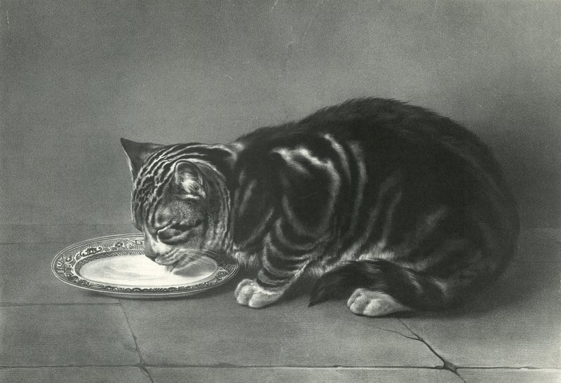Le Gourmand, The Glutton od English School