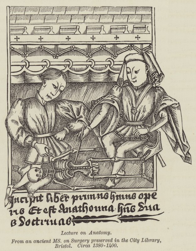 Přednáška z anatomie (rytina) od English School