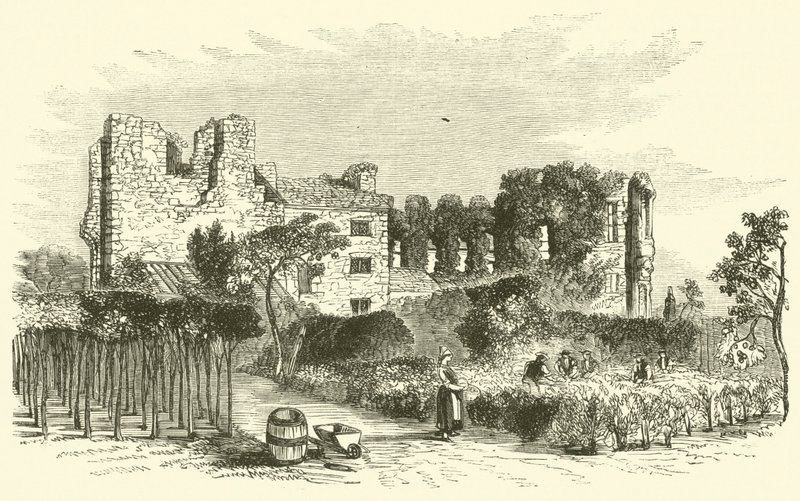 Leicester Abbey (rytina) od English School