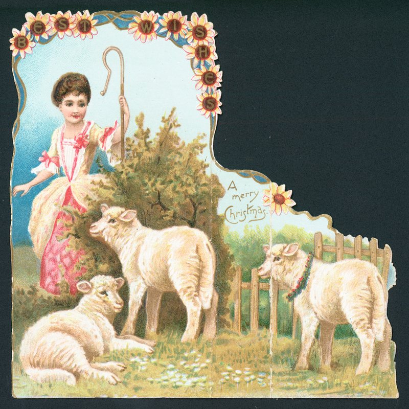 Malý Bo Peep, vánoční přání od English School